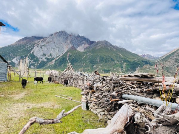 川藏33天深度之旅💙#稻城亞丁-來古冰川2902034