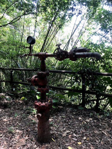 出磺坑步道_出磺坑紀念碑202006271965441