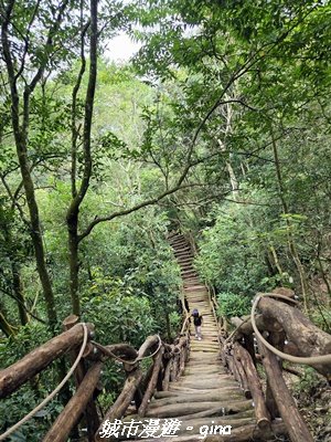 【台中北屯】大坑四號步道x頭嵙山3090951