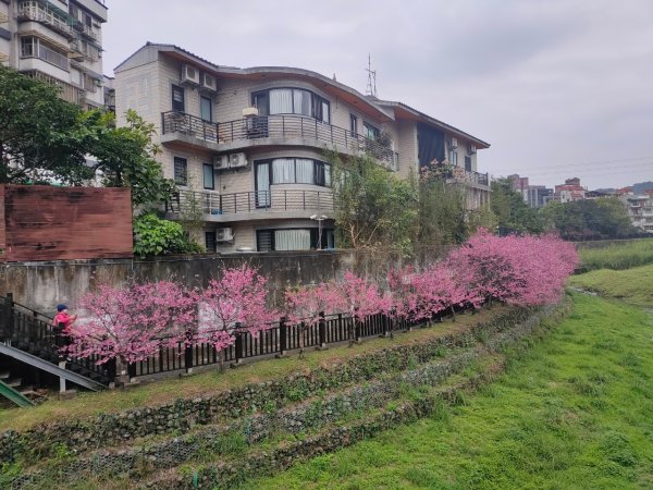 ［雙湖縱走］（東湖~金龍湖）（內湖~汐止）（2024/2/10）（初一）2426785