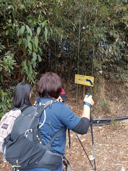 穿霧隘勇線-中三鹿2991739