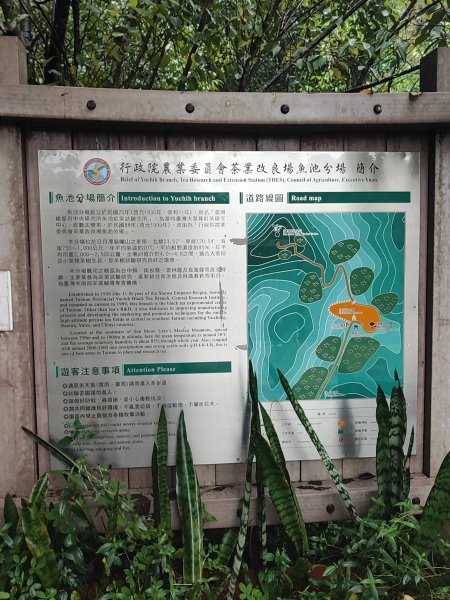 貓囒山步道2850531