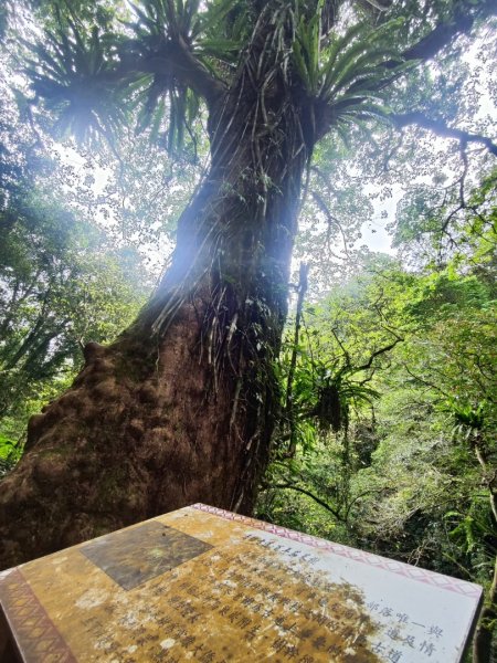 馬胎南坪古道2764745