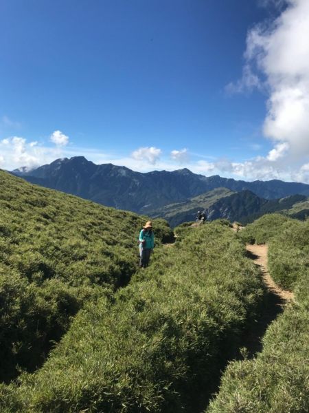 高山上的草原359314