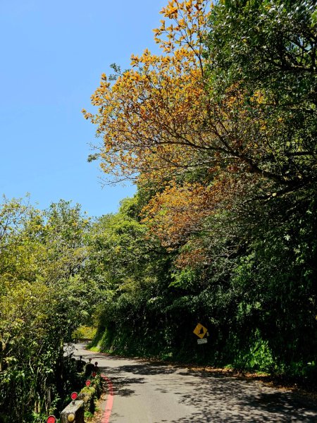 2025年臺北大縱走第二段： 二子坪至小油坑2763781