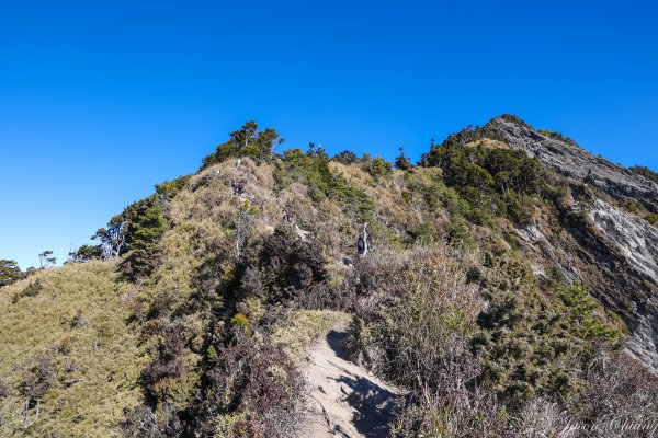 [百岳]南橫三星與關山2025769