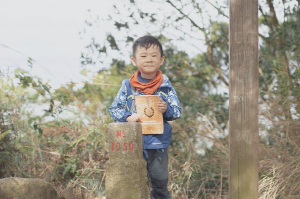 四歲小樂的第26座小百岳-新竹飛鳳山1172113