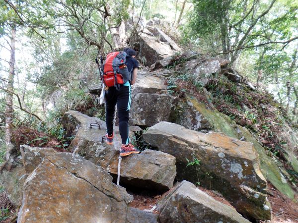 谷關七雄~波津加山293439