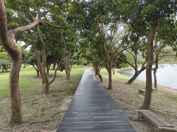 [漫遊縱谷 愛在花東-05/10] 2025_1011 大坡池環潭步道2913292