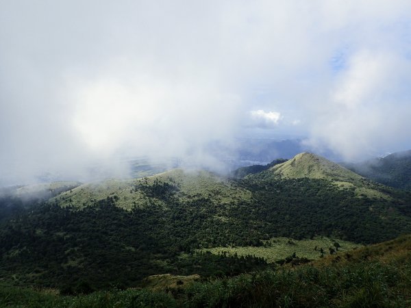 大屯山賞芒花1174186