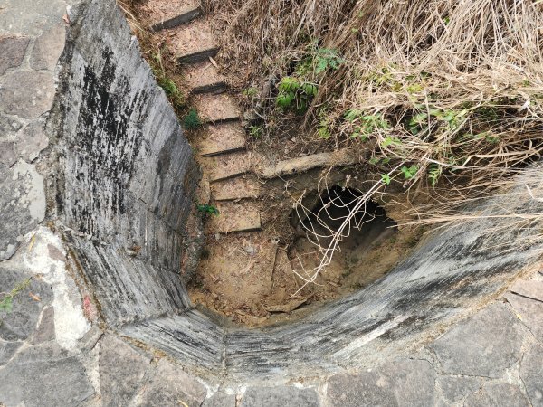 小百岳No.75⛰觀音山3025140