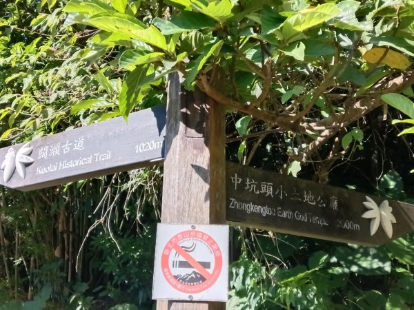 坪林區南闊瀨行(枋山坑古道+枋山坑崙+闊瀨越嶺保甲路O型)2916750