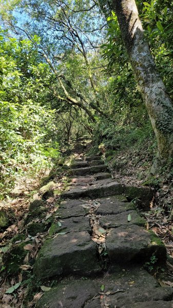 風櫃口頂山石梯嶺擎天崗2056581