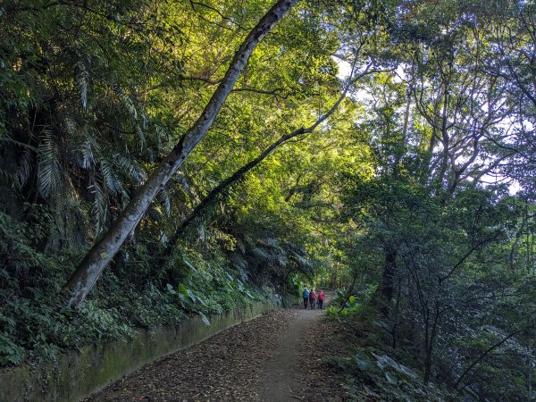 貴妃山那結山外鳥嘴山2630832