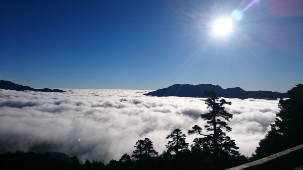 【新聞】秋冬賞雲海 首選合歡山