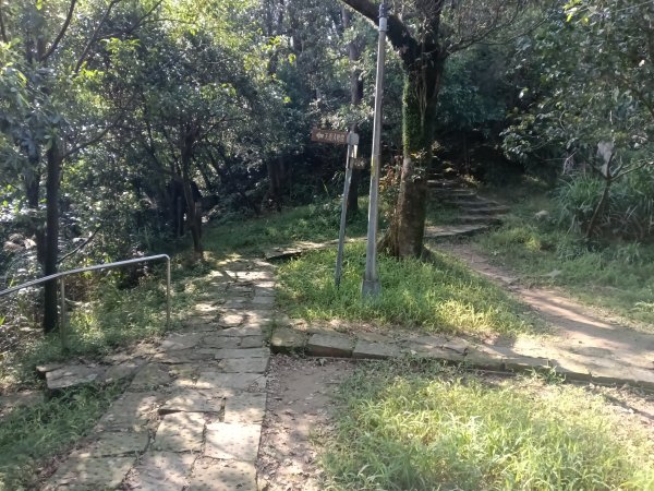 汐止區茄苳越嶺古道+上鹿窟崙山+九層坪山+四分尾山+大尖山8字走2981645