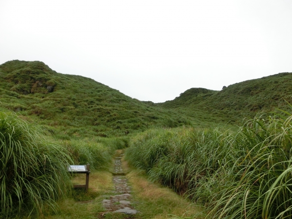 魚路古道．擎天崗．竹篙山94441