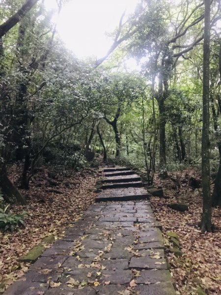 七星山劍潭山雙⛰️一日1073356