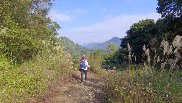 (姨婆趴趴走)第四十六集:新竹關西赤柯山及南峰、東西獅頭山、馬福山環狀縱走2685812