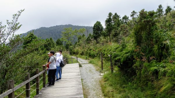 太平山（翠峰,茂興,鐵杉林,見晴）1097083