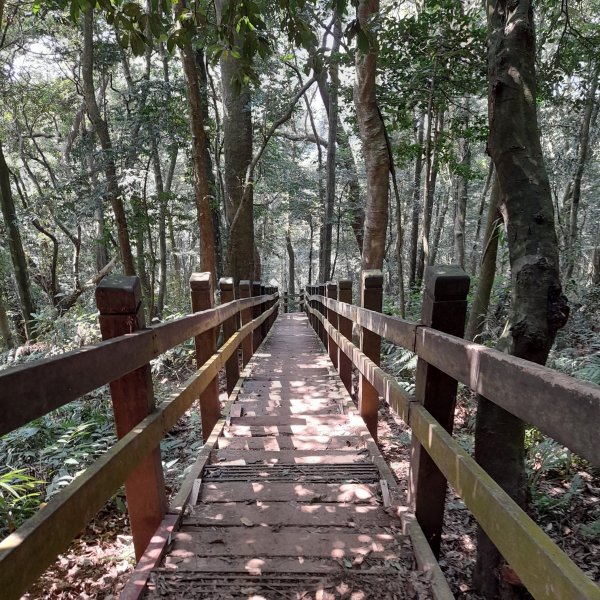 小百岳No.37⛰馬那邦山2440813