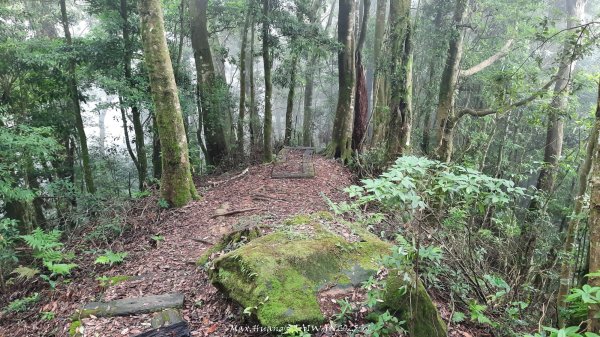 《雲林》望好望角｜石壁山嘉南雲峰步道(中側登山口）202506072805407