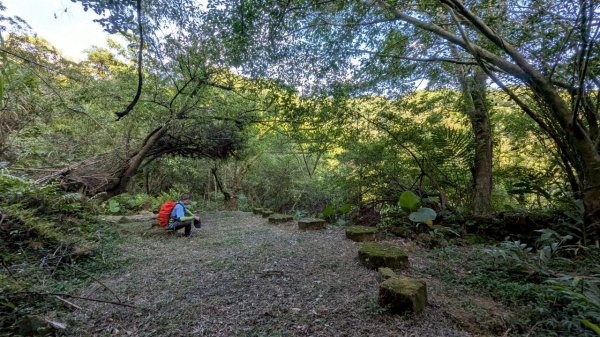 114.06.28內平林山-番子坑山-平湖森林遊樂區之O型2824282