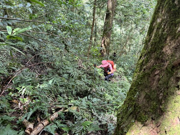 熊空瀑布+熊空山未竟+竹坑山O繞202508162863671