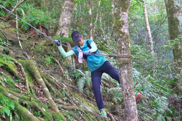 嘎色鬧登那結山2392513