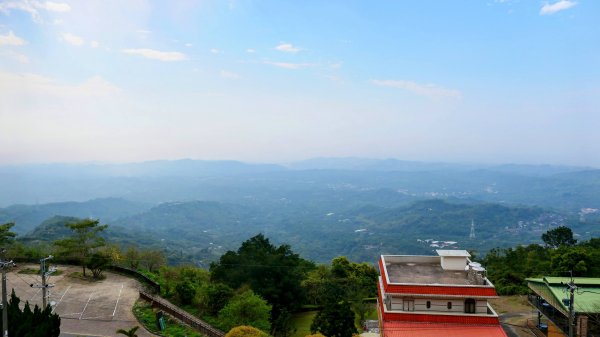 《臨江仙。木棉春色》2735218