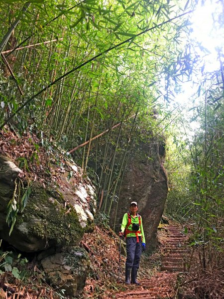 竹林饗宴--瑞太古道登雲戴山順走九芎坪山493582