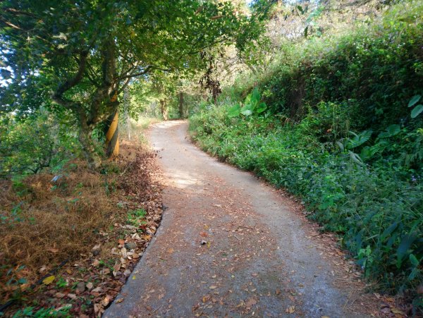 馬那邦山(小百岳編號037)720085