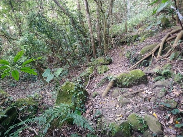 暗影山 小百岳 三等三角點4181690859