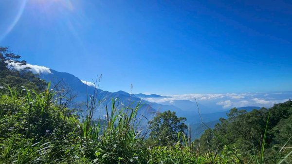 20251106北大武山步道☁️ 喜多麗雲海2931383