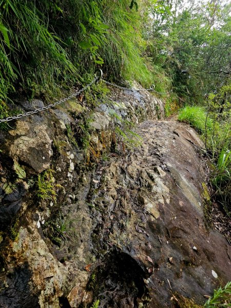 (五分山系)菁桐煤礦-2025微笑山線大縱走尋寶集章任務2855327