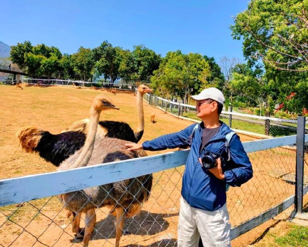 台東原生應用植物園3015244
