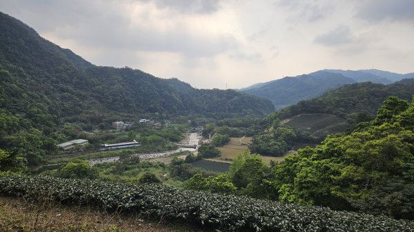 開眼崙步道，坪林老街2483064