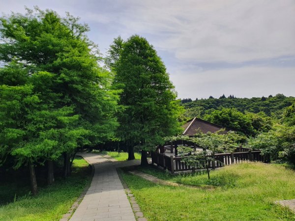 冷擎步道封面