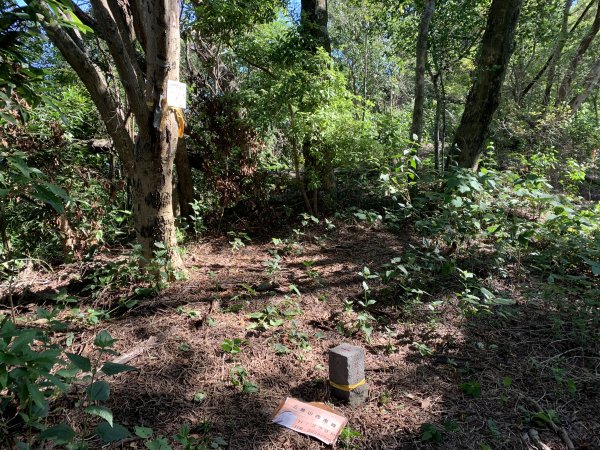 20240706屏東三地山西南峰2546728