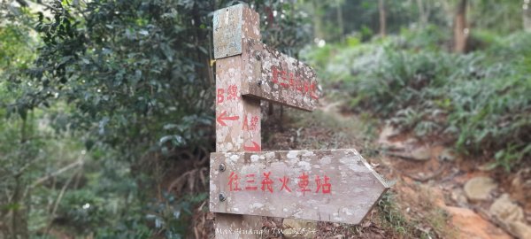《苗栗》霧雨寒流｜三義三角山步道202512252969200