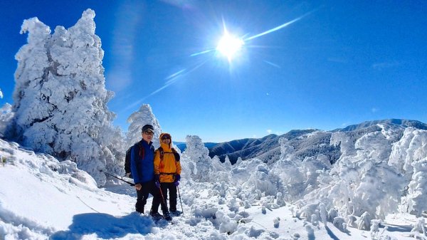 超綺麗夢幻的粉雪奇緣山行記在日本名古屋南沢山2781221