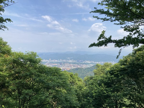 大棟山登山步道2496081