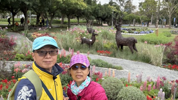 2025台北杜鵑花季｜大安森林公園｜迎曦花丘｜20250307｜峯花雪月2729817