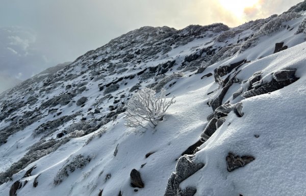 雪山薄雪輕健行1585780