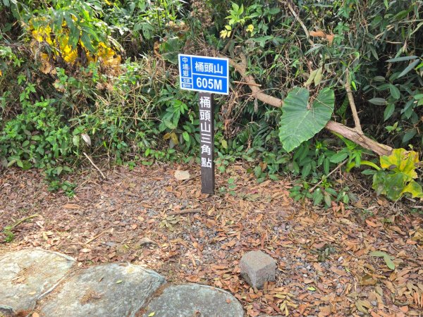 石硦林場（桶頭山）2991265