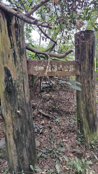 【撤退是智慧而非勇氣】17訪魔王小百岳-尾寮山。2995100