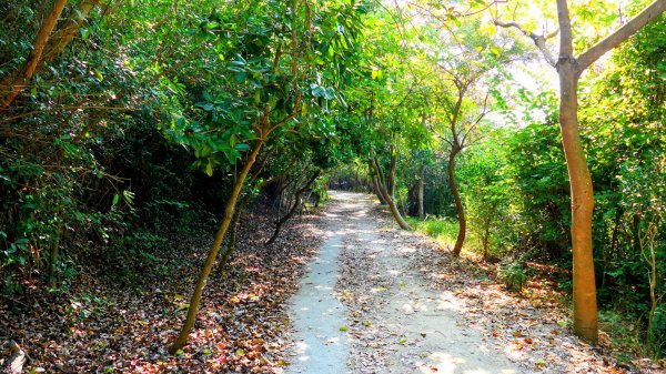 左營半屏山2954320