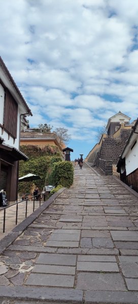 九州小京都（大分杵築城）2999749