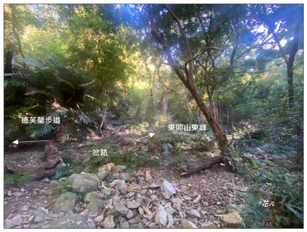 北松鶴山、德芙蘭步道 (台中 和平)2922131