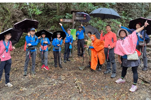 觀霧瀑布 賞鳥步道2926792